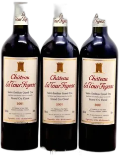 vue du vin Château la Tour Figeac