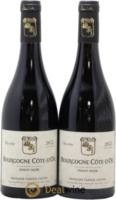image du vin Fabien Coche