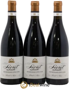 vue du vin Gevrey-Chambertin a Bichot