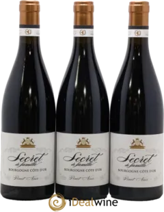 vue du vin Gevrey-Chambertin a Bichot