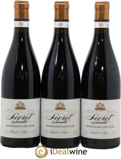 vue du vin Gevrey-Chambertin a Bichot