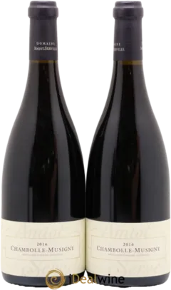 photos du vin Chambolle Musigny Village
