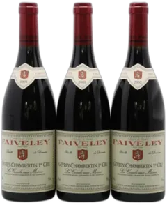 capture du vin Domaine Faiveley Gevrey-Chambertin 1er Cru Clos des Issarts Monopole Magnum