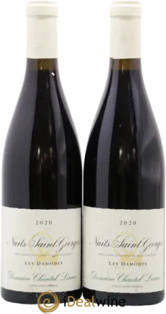 vue du vin Chantal Lescure Nuits Saint Georges les Damodes