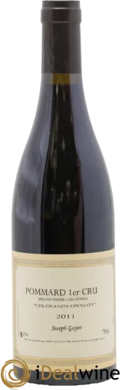 vue du vin Grands Epenots Joseph Guyot