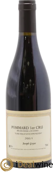 vue du vin Grands Epenots Joseph Guyot