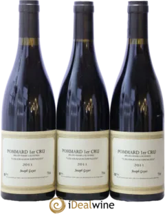 vue du vin Grands Epenots Joseph Guyot