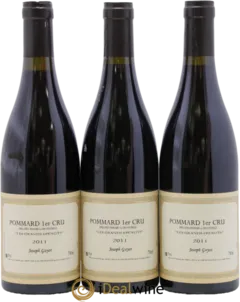 vue du vin Grands Epenots Joseph Guyot