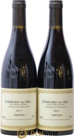 vue du vin Grands Epenots Joseph Guyot