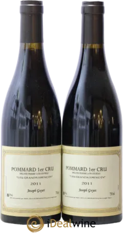 vue du vin Grands Epenots Joseph Guyot