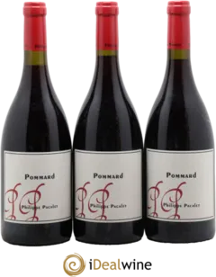 photo du vin Pommard 2020 Philippe Pacalet