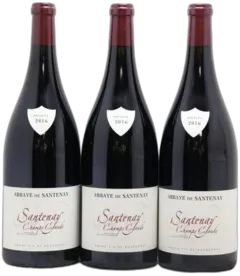 illustration du vin Champs Claude Abbaye de Santenay