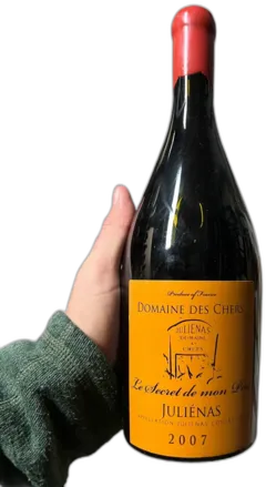 photos du vin Découverte Bourgogne et Juliénas