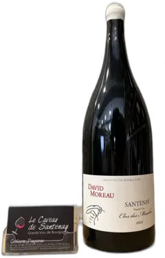 photo du vin Magnum Santenay 1er Cru Clos des Mouches Rouge