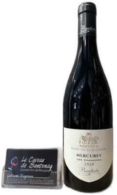 vue du vin Les Chavances