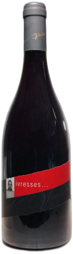 illustration du vin Domaine Canet Valette "Antonyme" Saint-Chinian Rouge Bio