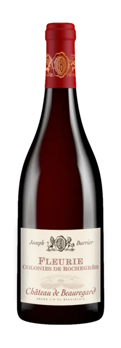 photo Joseph Burrier Château de Beauregard Fleurie Colonies de Rochegrès 2019