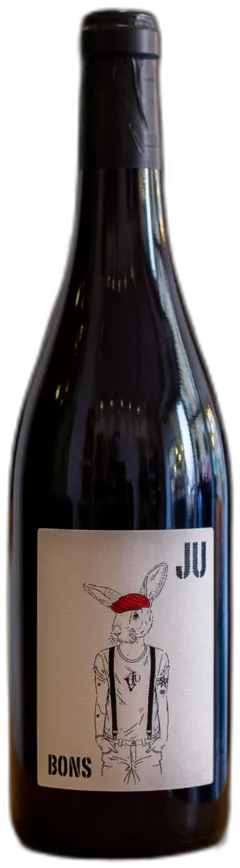image du vin Vin de France Bons ju Rouge