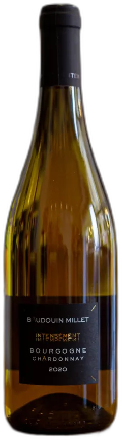 photo Bourgogne Chardonnay