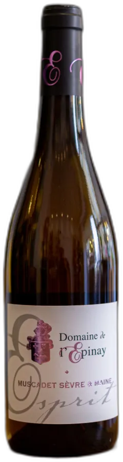 photos du vin Muscadet Sèvre et Maine Cuvée "Esprit" Bio