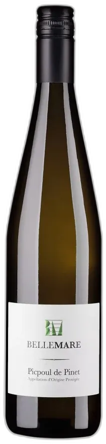 vue du vin Picpoul de Pinet