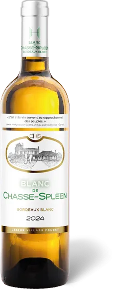 photo du vin Château Chasse Spleen