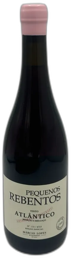 photo Portugal Vinho Verde 