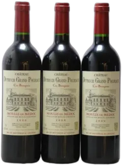 illustration du vin Château Dutruch Grand Poujeaux Magnum