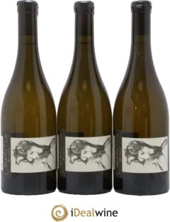 vue du vin Chablis 1er Cru Butteaux Pattes Loup