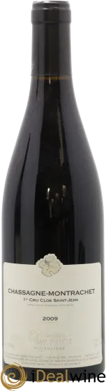 vue du vin Clos Saint-Jean Lamy-Pillot