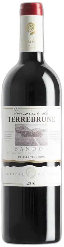 vue du vin Domaine de Terrebrune