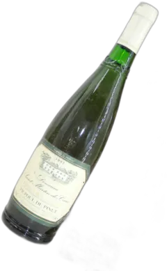 vue du vin Picpoul de Pinet