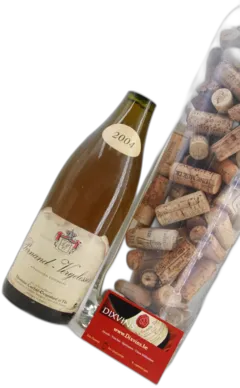 vue du vin Pernand Vergelesses Domaine Cachat-Ocquidant