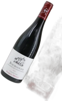 vue du vin Gravières des Chaponnières