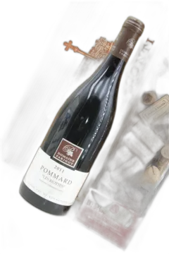 vue du vin Pommard " les Riottes " Domaine Parigot