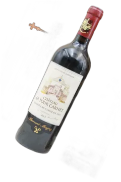 vue du vin Château la Tour Carnet