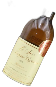 vue du vin le Sec de Rayne Vigneau