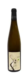 photo Riesling Nature