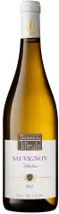 photo Sauvignon Sélection