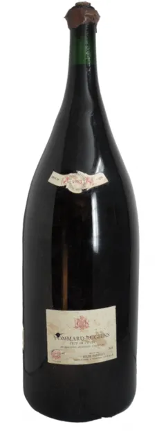 image du vin les Rugiens