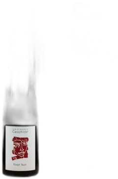 photo Pinot Noir 2022 Domaine Geschickt