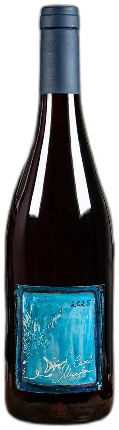photo du vin Aoc Beaujolais Villages Cuvée Marylou Domaine Guy Breton