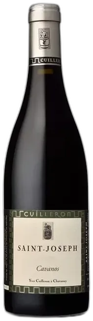 vue du vin Yves Cuilleron Saint Joseph Cavanos