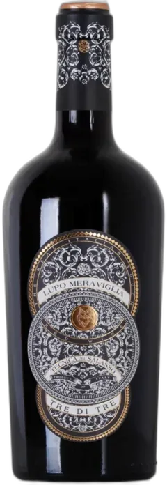 photo du vin Puglia Igt Primitivo Botter