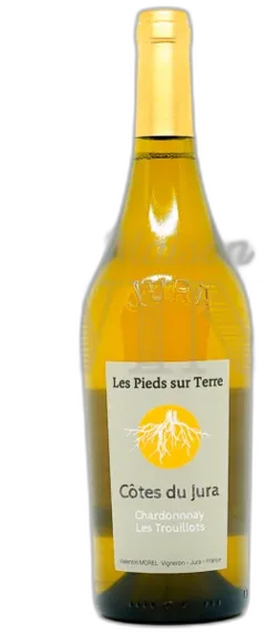 photo du vin Chardonnay les Trouillots les Pieds Sur Terre Morel Blanc