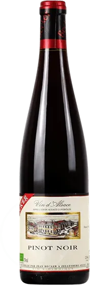 photo Alsace Pinot Noir Domaine Jean Becker
