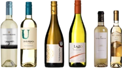 photo Sélection Vins Blancs Chili