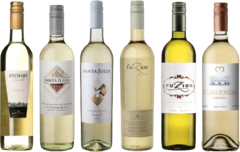 photo Sélection Vins Blancs Argentins