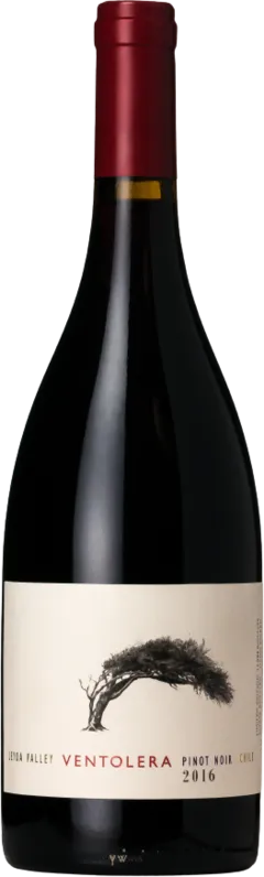 photo Pinot Noir 2014 Ventolera