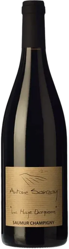 vue du vin les Salles Martin